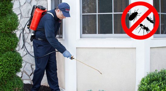 Olur Gümüşkurt İlaçlama böcek ilaçlama ve haşere kontrolü — ilaclama-tr.com